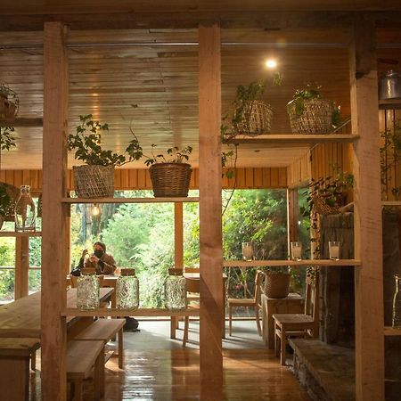Raices Bed And Breakfast Койхайке Екстериор снимка