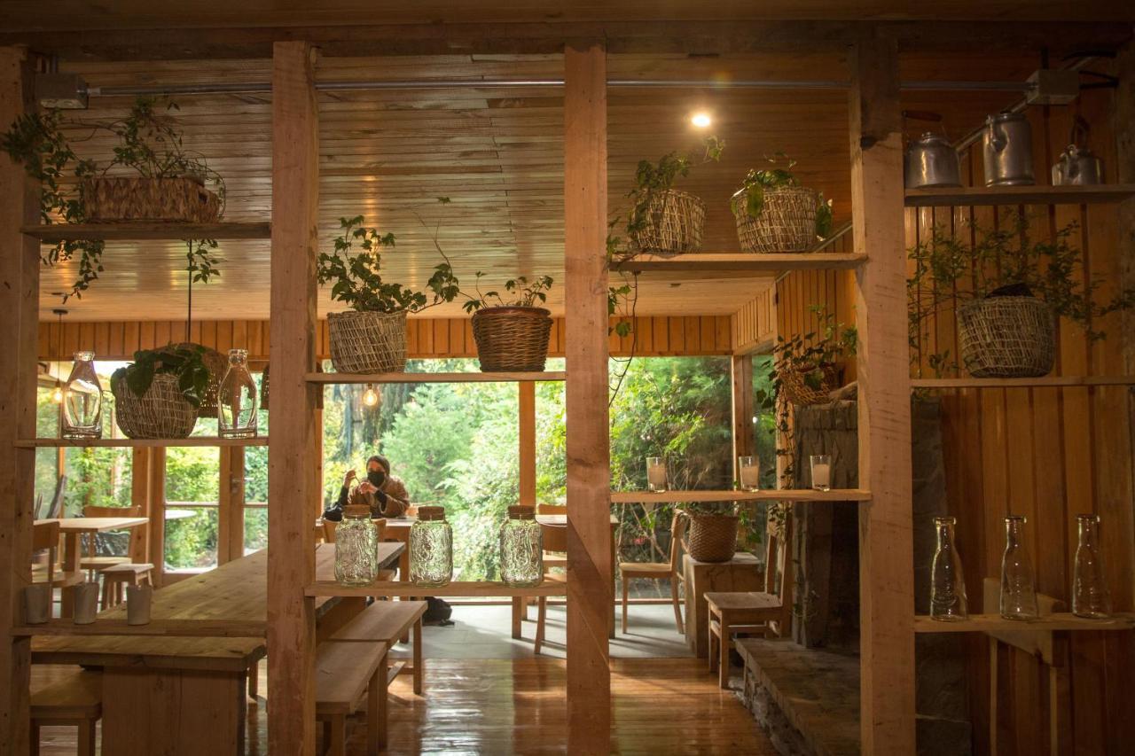 Raices Bed And Breakfast Койхайке Екстериор снимка