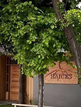 Raices Bed And Breakfast Койхайке Екстериор снимка